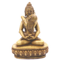 Buddha Shakti