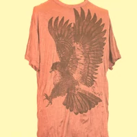 Sure Sas rozsdabarna L