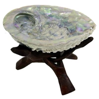 Abalone kagyló füstölőégető