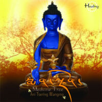 Gyógyító Buddha Medicine Tree CD